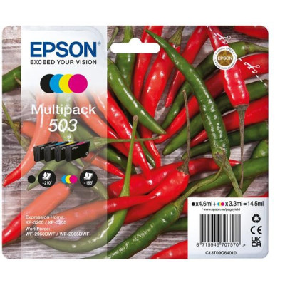 Originálny atrament Epson T09Q6 (C13T09Q64010, 503), CMYK, 210/165 strán